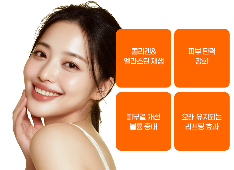 벨로디2