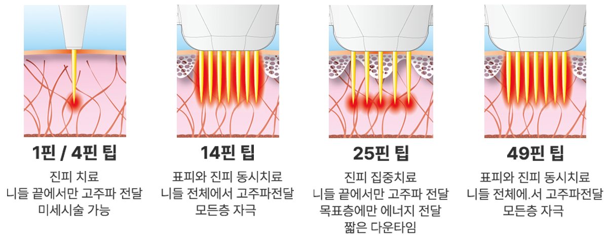 엘리시스센스