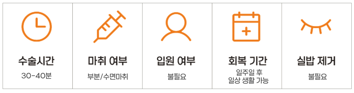 눈매몰법