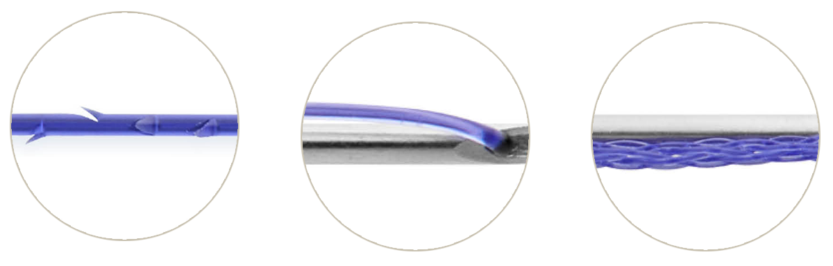 signature2.jpg